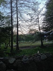 2014-04-19_20-27-31