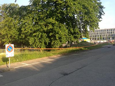 2013-06-07_07-37-48