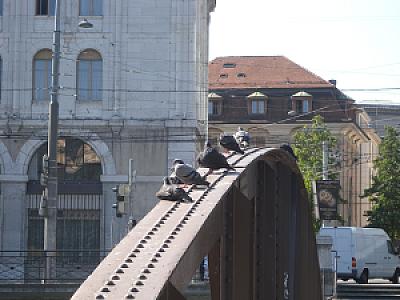 2009-08-06_10-14-21
