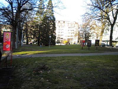 2010-03-02_17-47-17