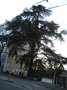 2010-03-02_17-49-37