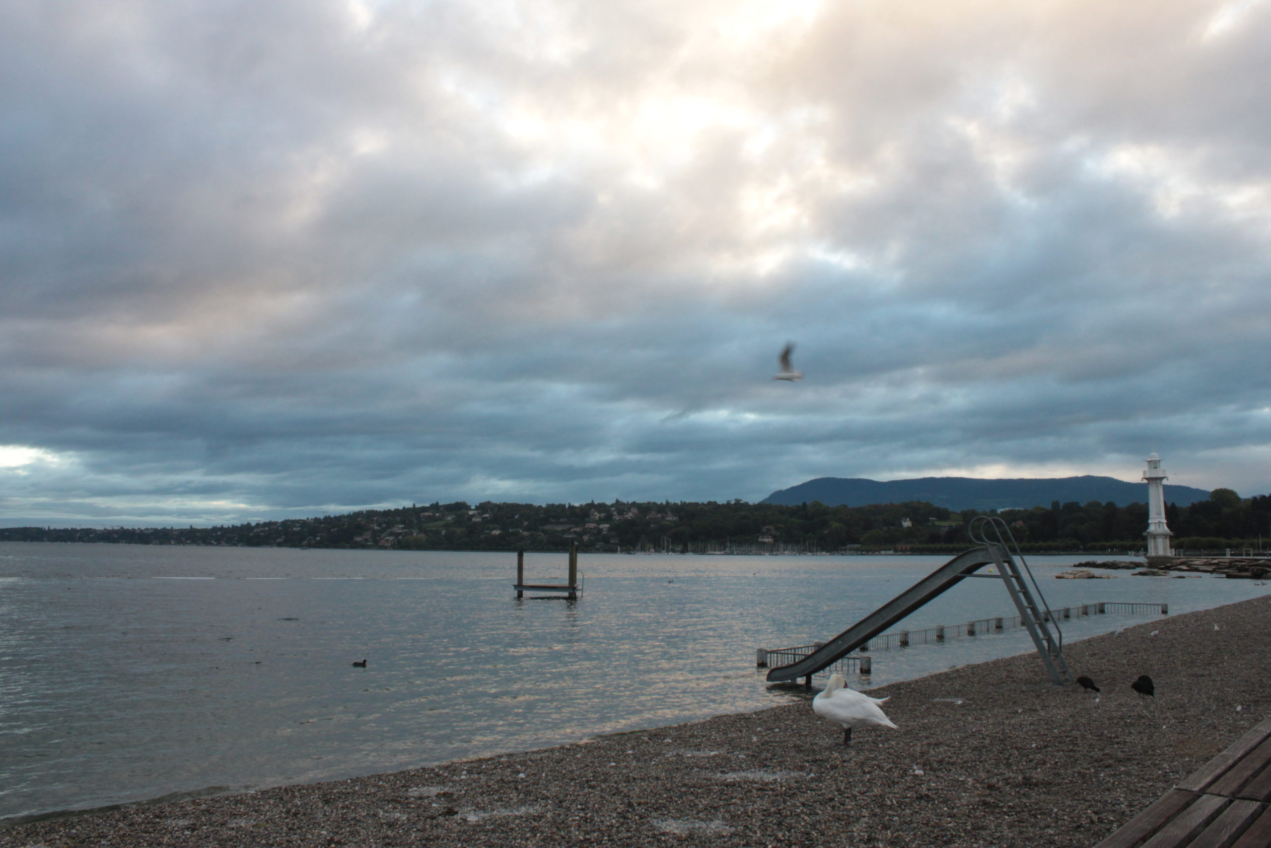 2011-09-09_07-39-30