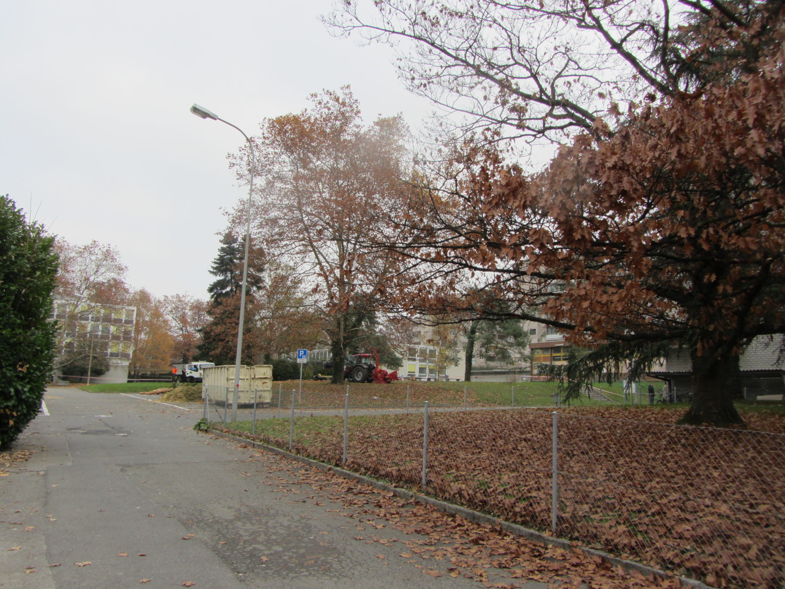 2012-11-19_13-00-43