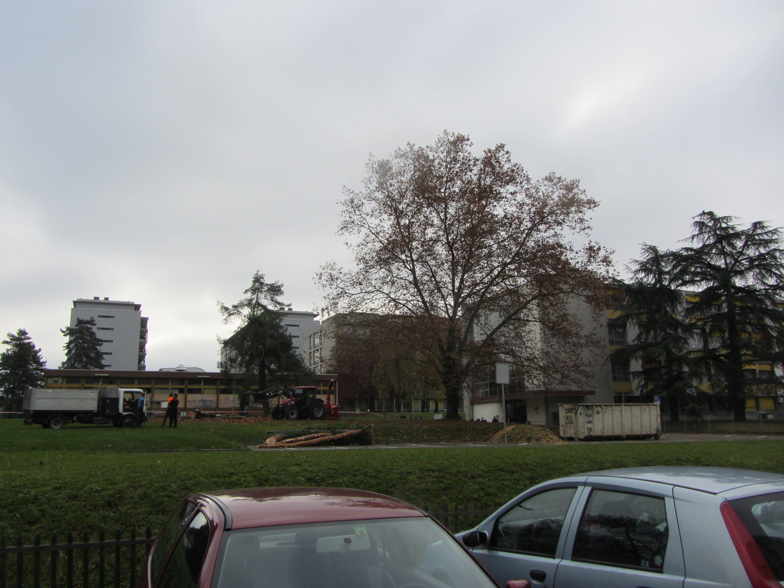 2012-11-19_13-01-39