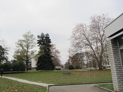 2012-11-19_13-02-50