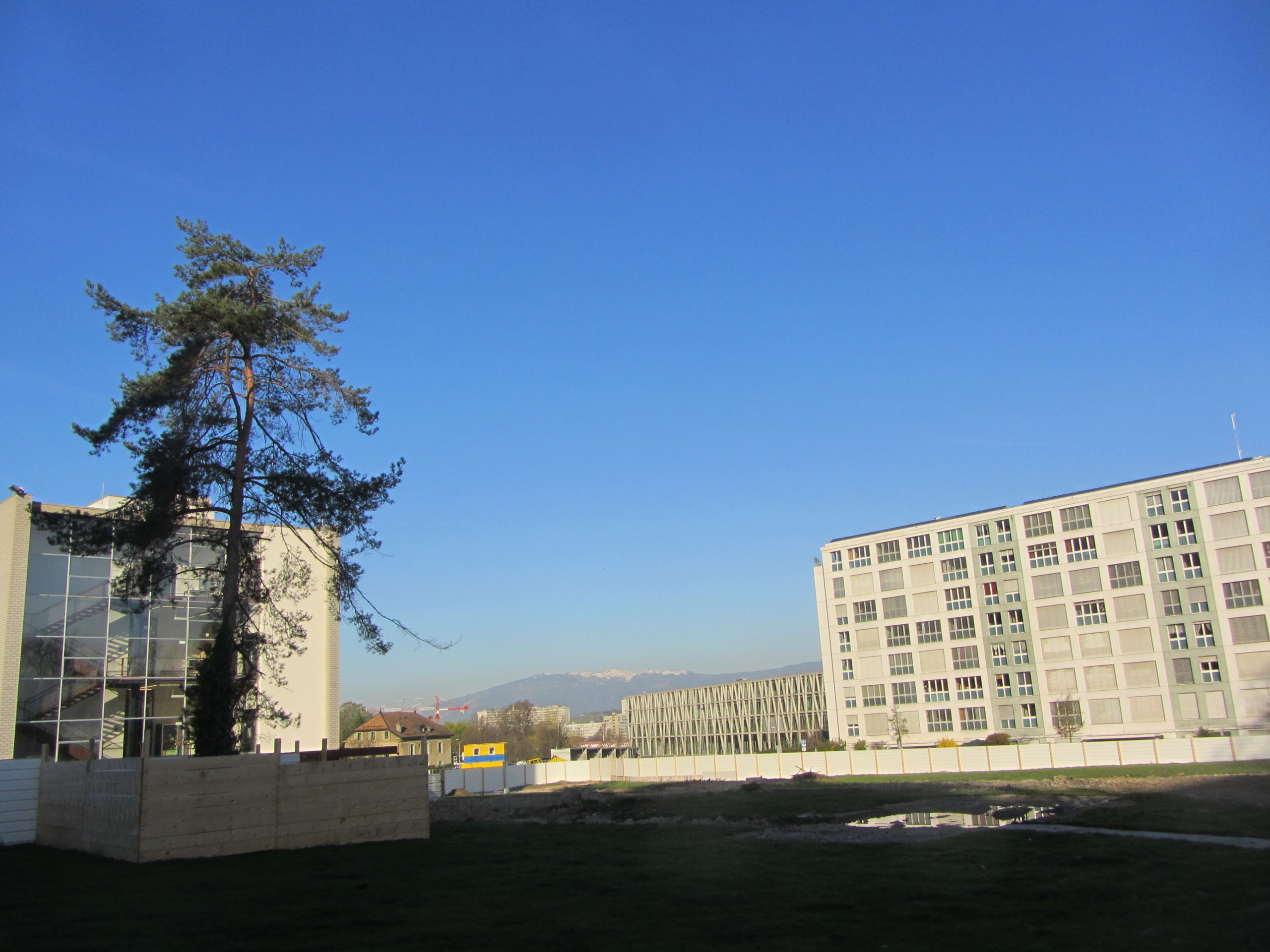 2013-04-17_09-02-48