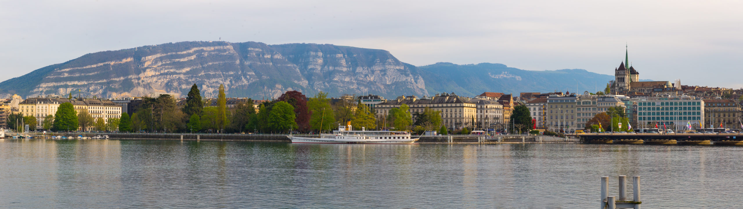 Geneva skyline panoramic