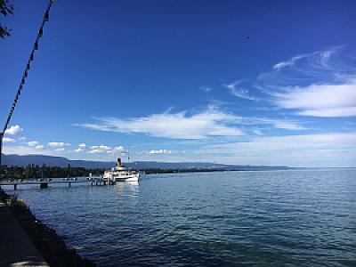 2017-07-04_17-12-50 1