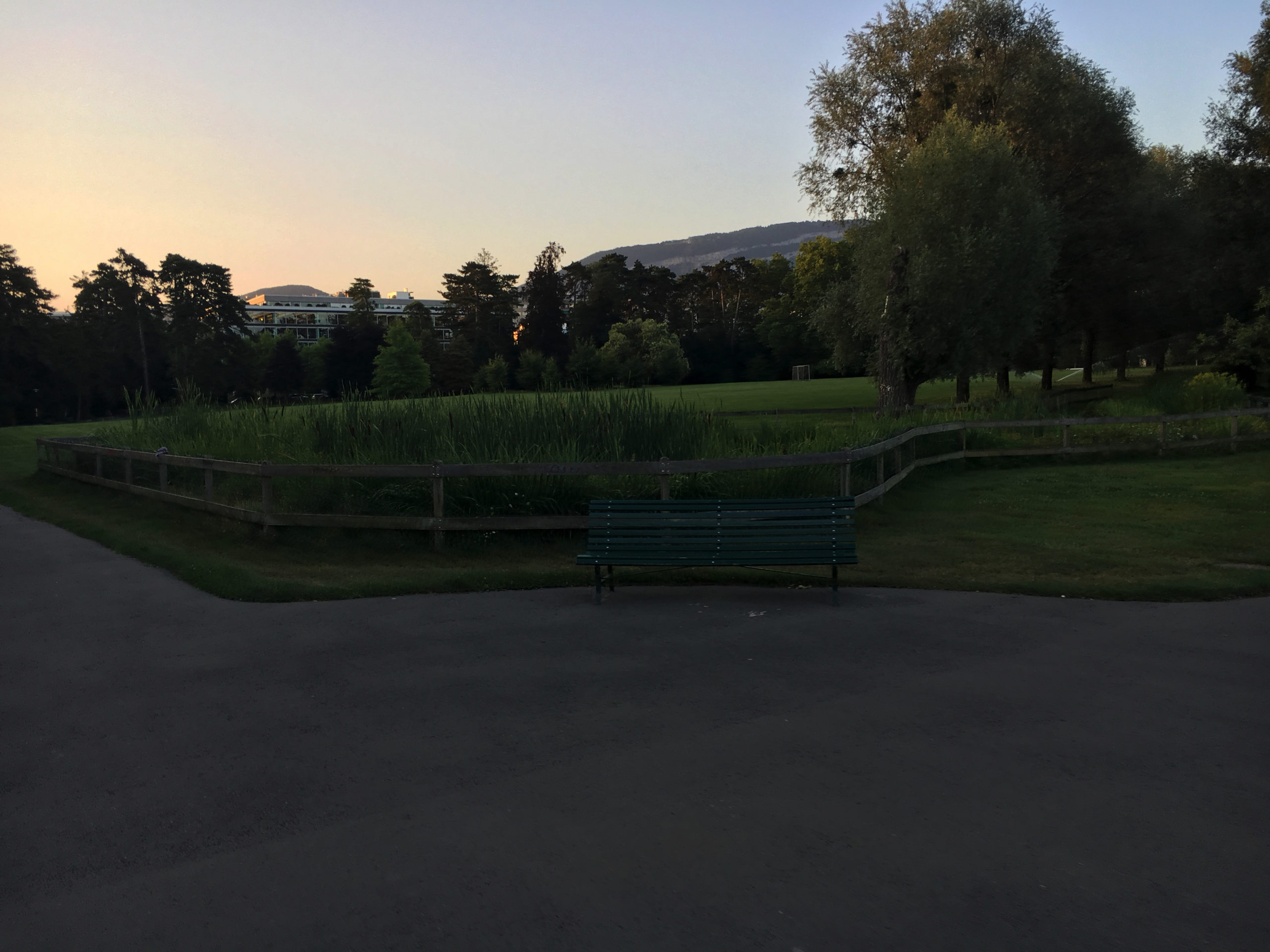 2017-08-04_06-50-48 1