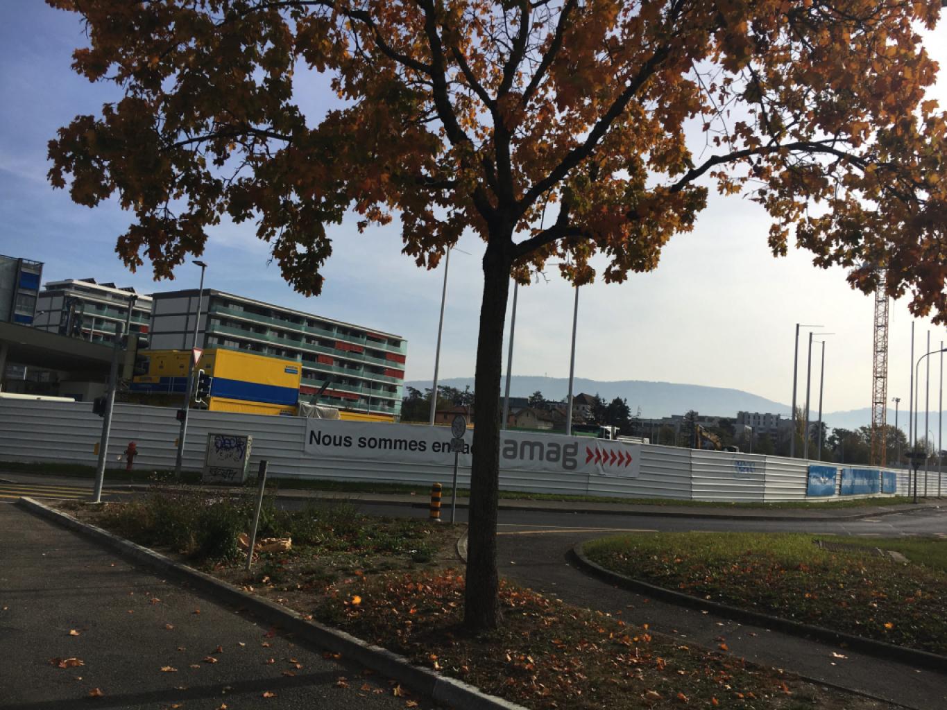 Amag Petit-Lancy