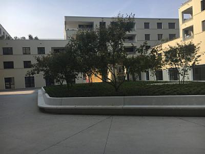 2017-11-19_09-52-33