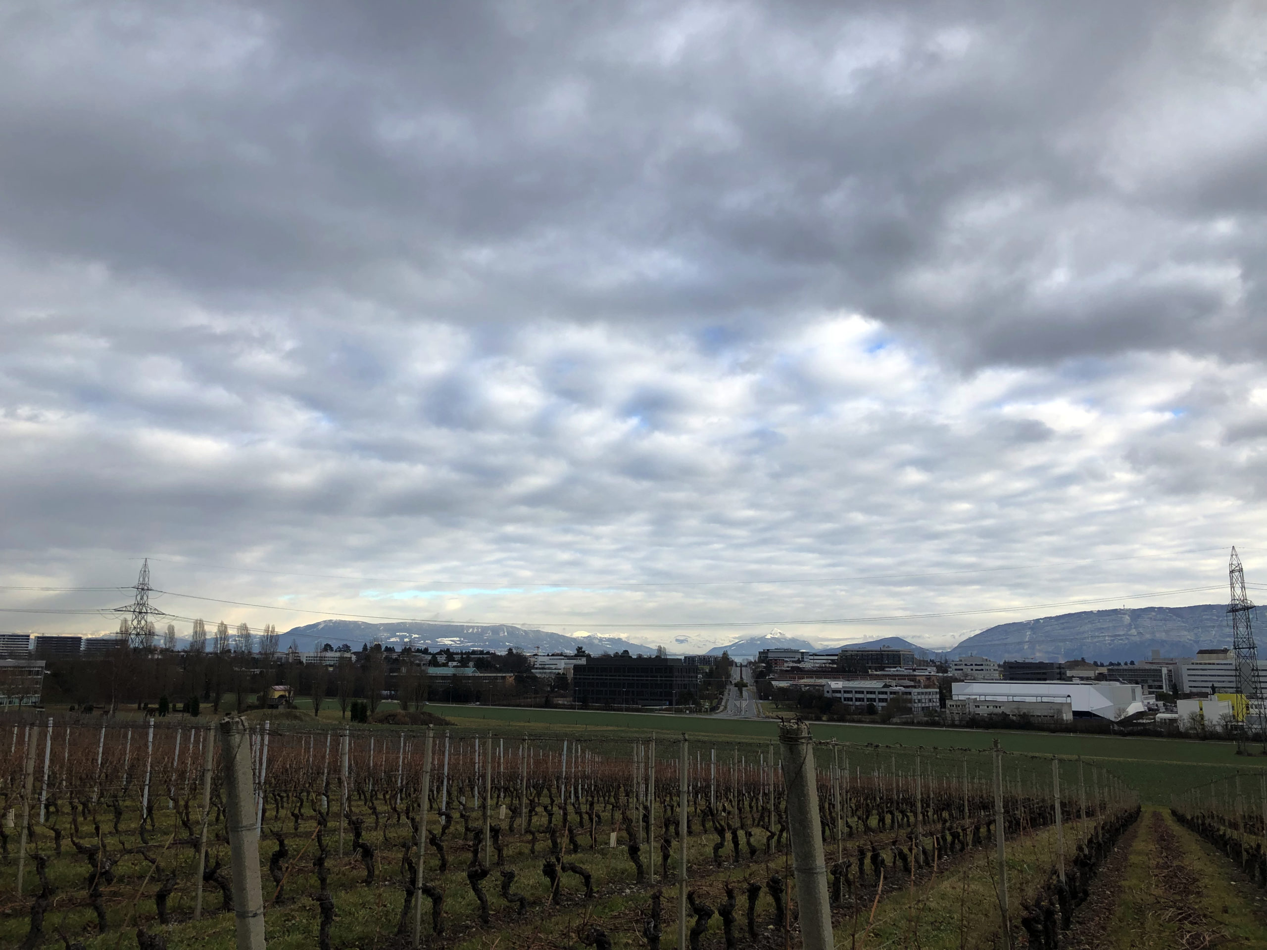 2019-01-01_14-45-54