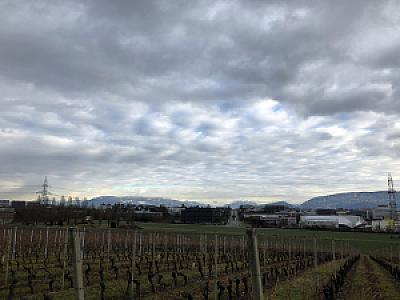 2019-01-01_14-45-54