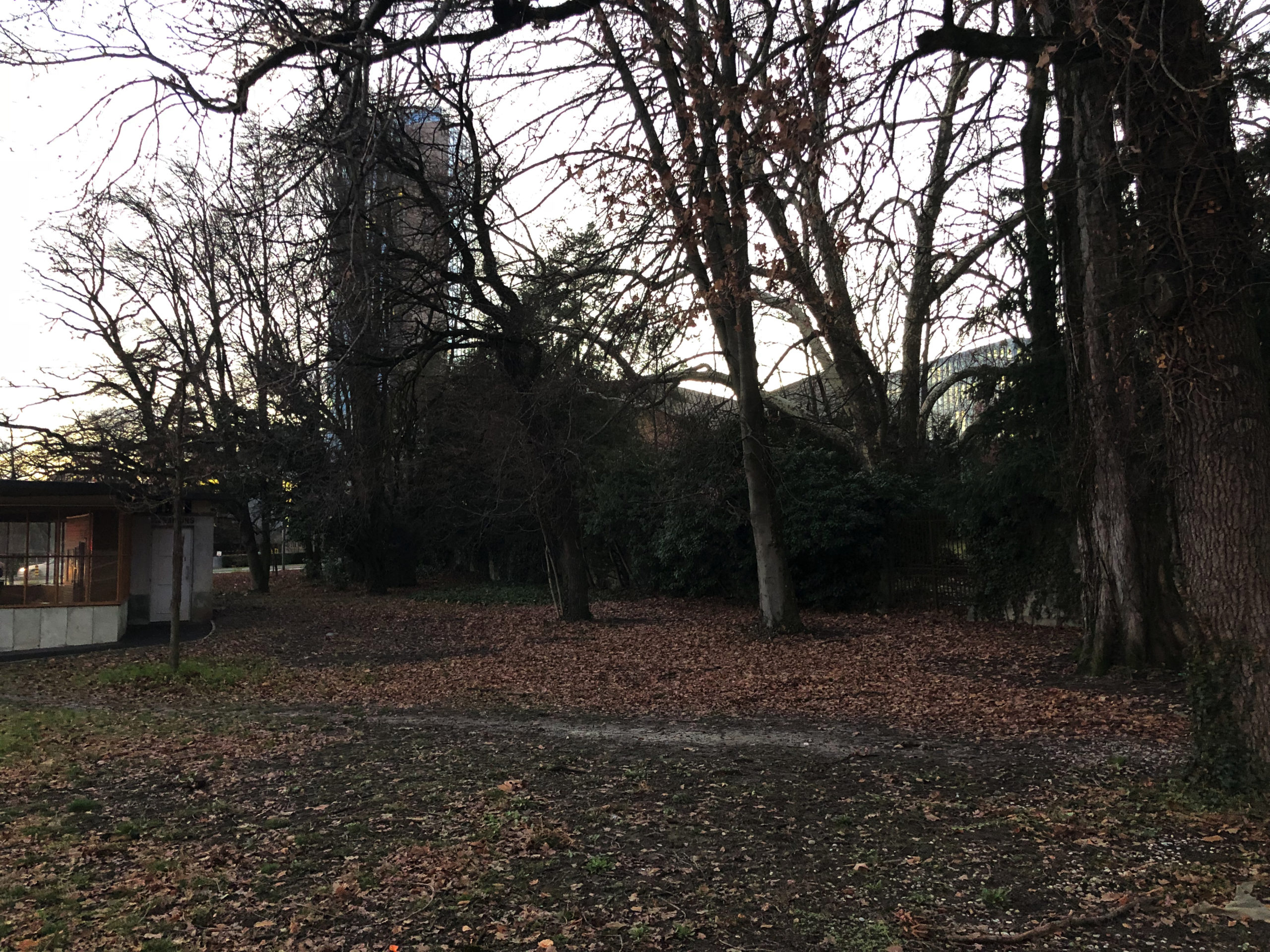 2019-01-01_14-47-32