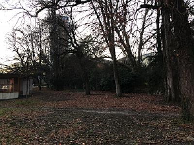 2019-01-01_14-47-32