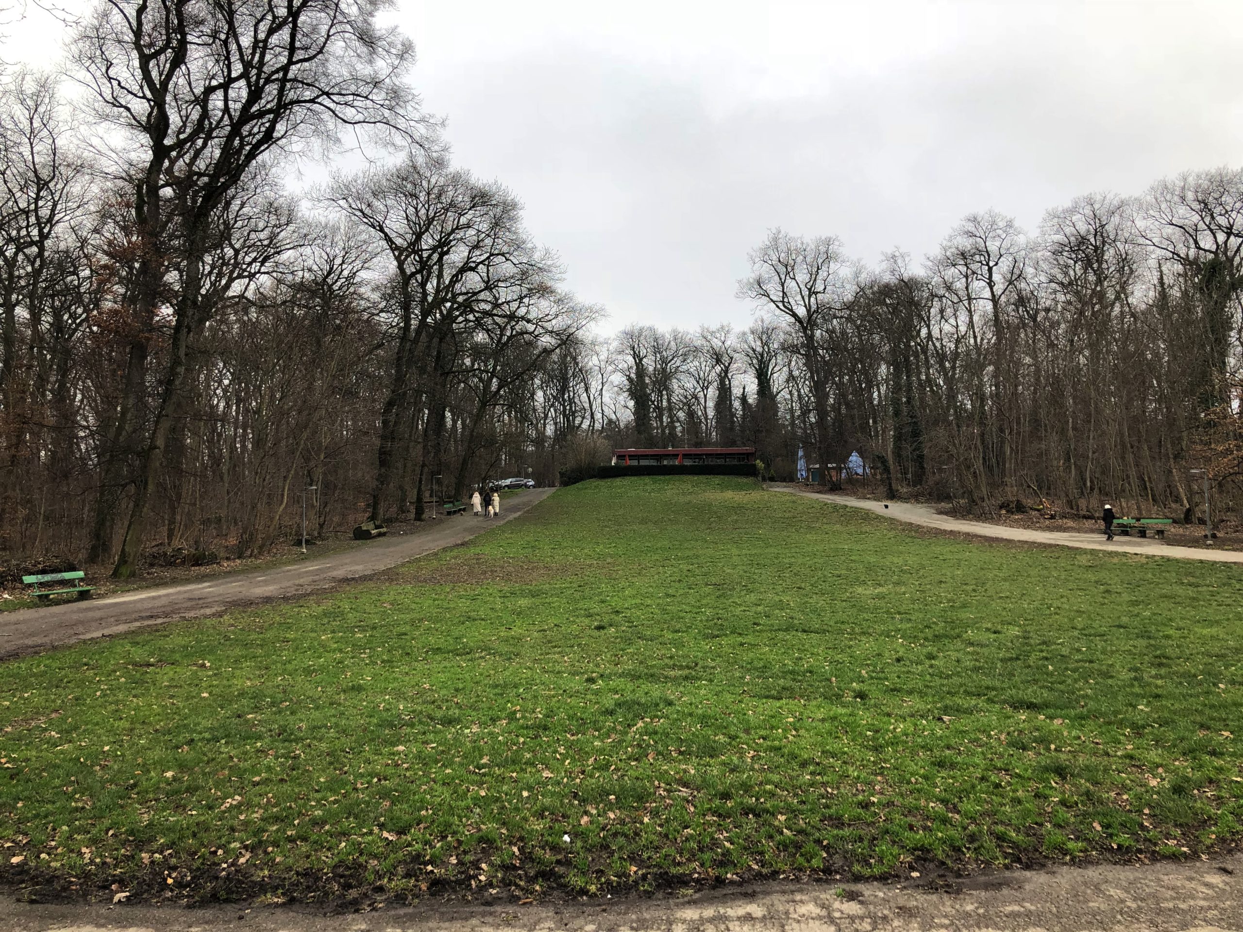 2019-01-01_14-47-43