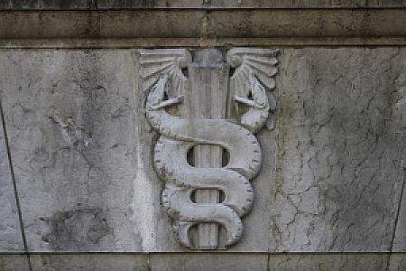 Genève-Abri de la Madeleine-2011-2