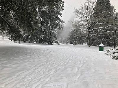 2019-01-01_14-48-19