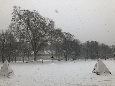 2019-01-01_14-48-23