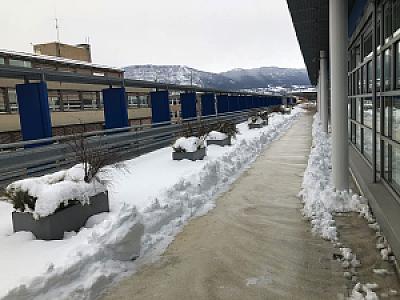 2019-01-01_14-48-34