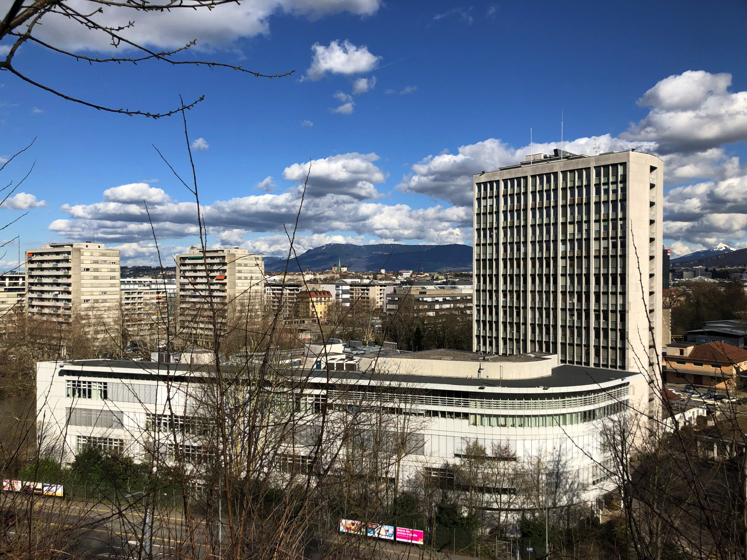 2019-01-01_14-49-31
