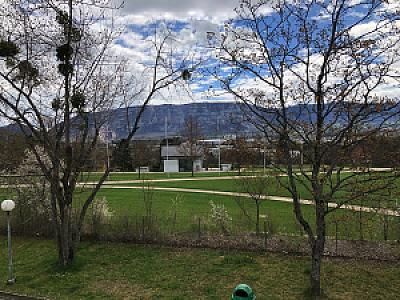 2019-01-01_14-50-13