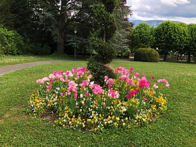 2019-01-01_14-53-07