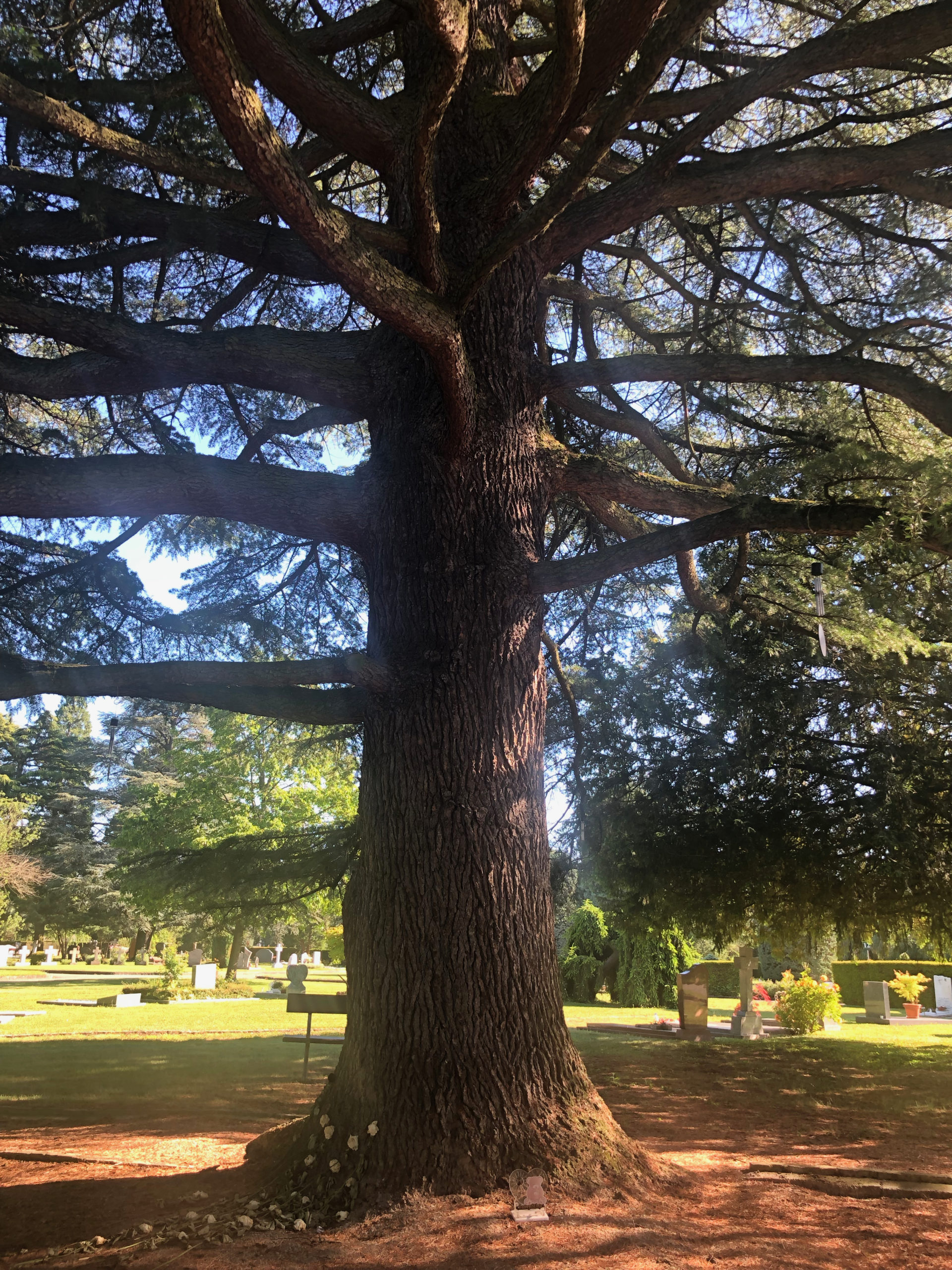 2019-05-31_17-57-59