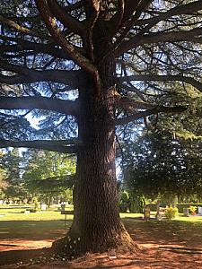 2019-05-31_17-57-59
