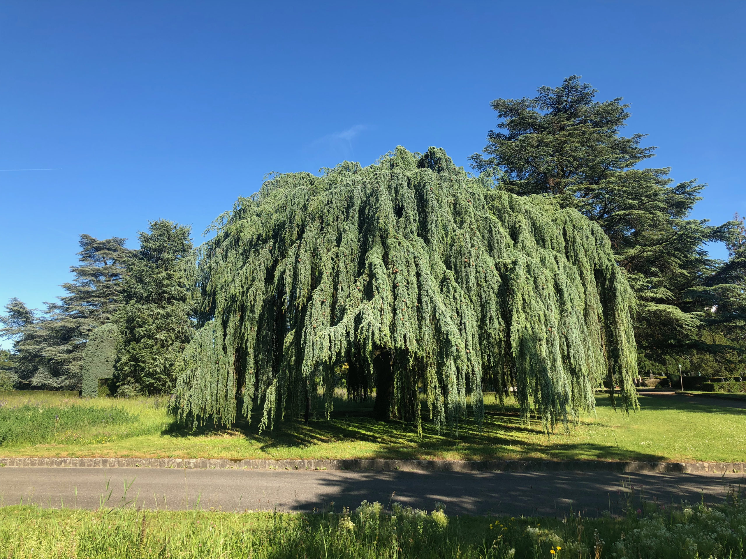2019-05-31_18-15-20