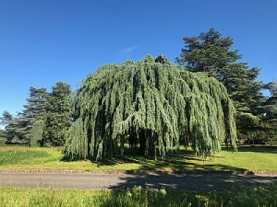 2019-05-31_18-15-20