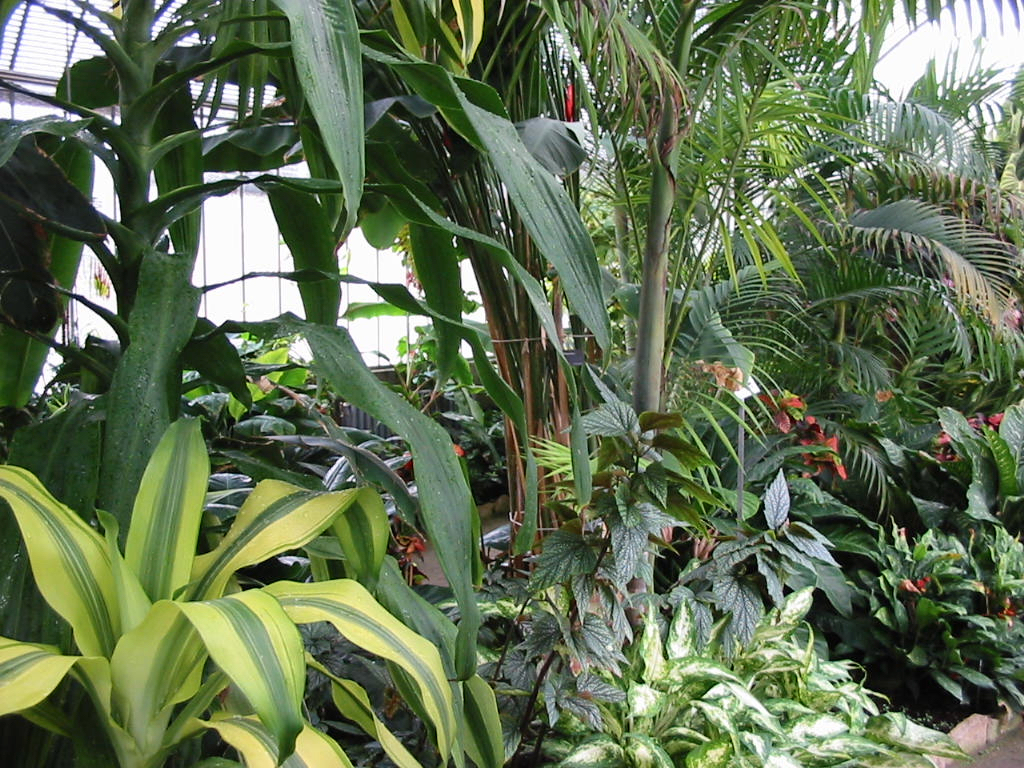 2003-04-12_14-58-07