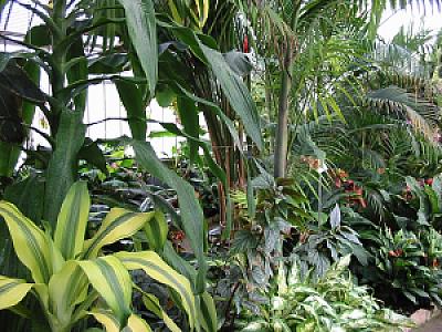 2003-04-12_14-58-07