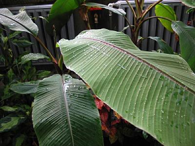 2003-04-12_14-58-53