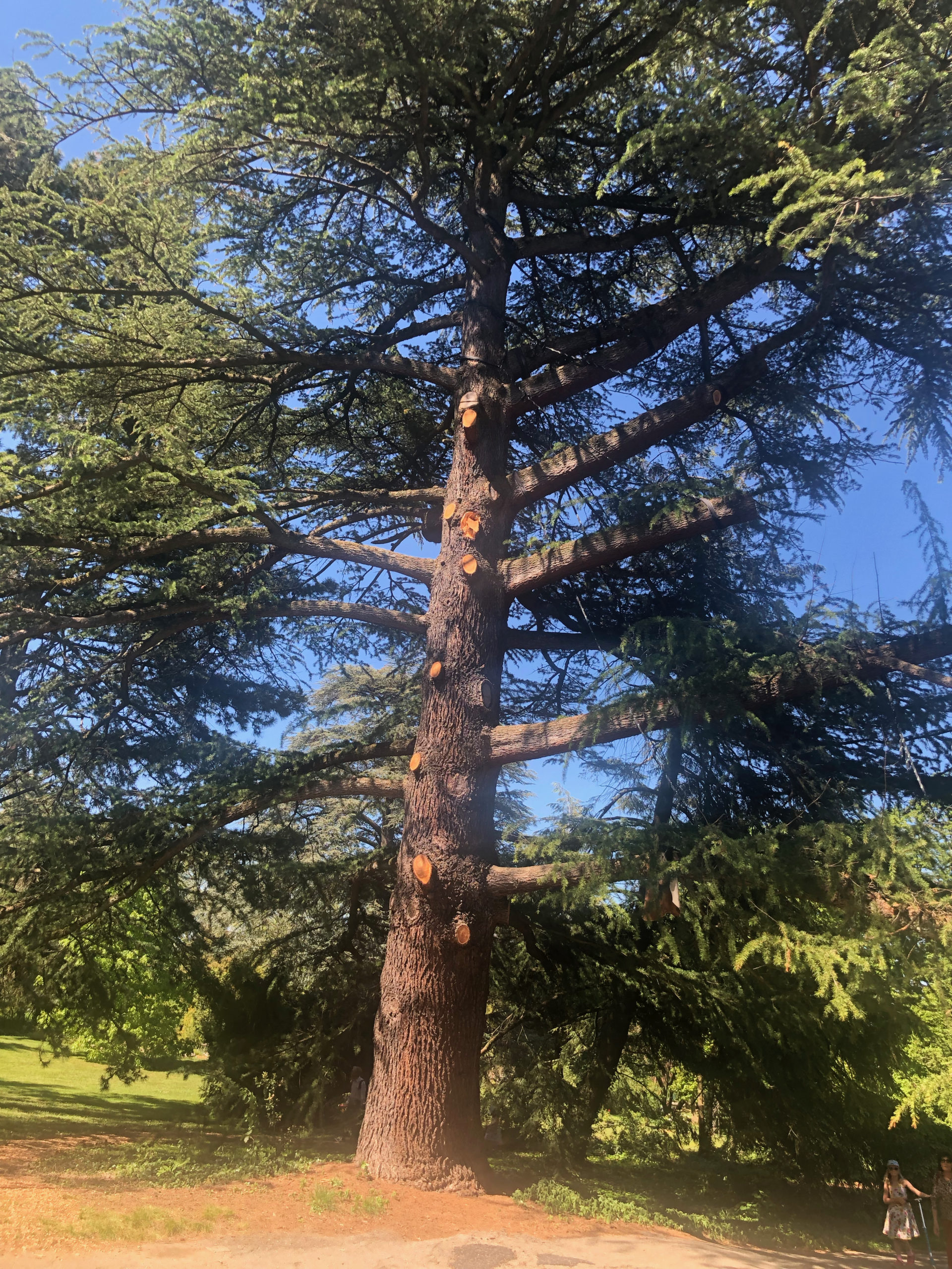 Avenue de la Paix 2019-05-31_15-54-47