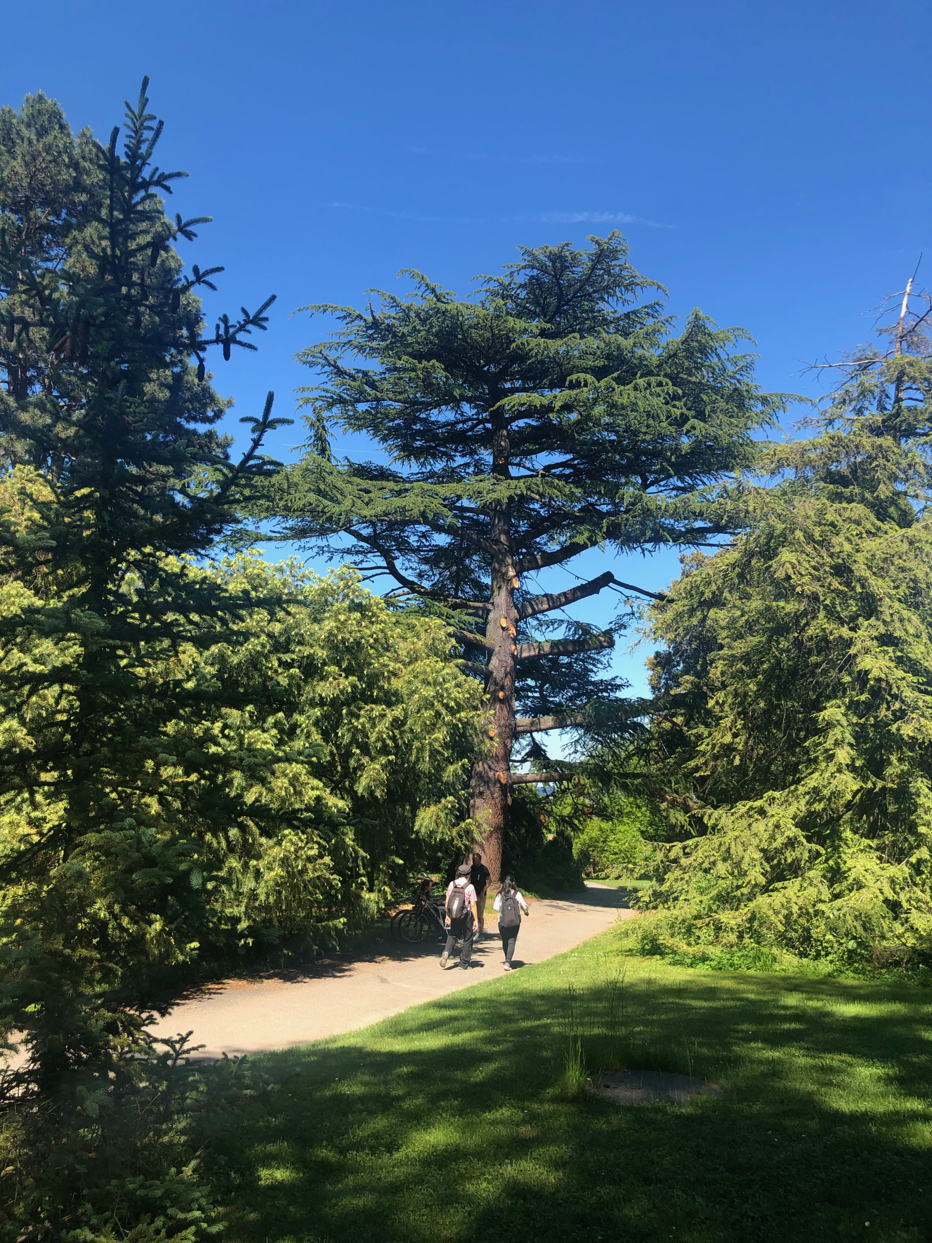 Avenue de la Paix 2019-05-31_15-57-08