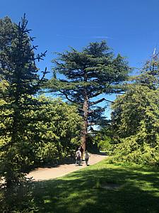 Avenue de la Paix 2019-05-31_15-57-08