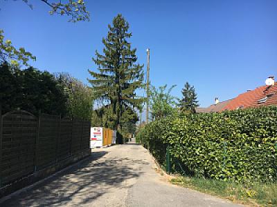 Chemin des Corbillettes 2017-04-08_12-23-02