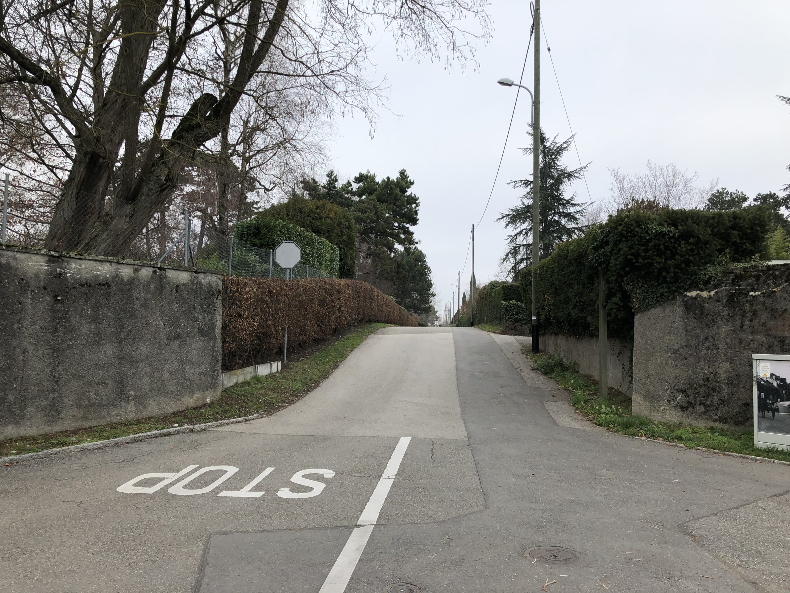 Chemin du Château-Blanc 2018-12-27_13-48-06