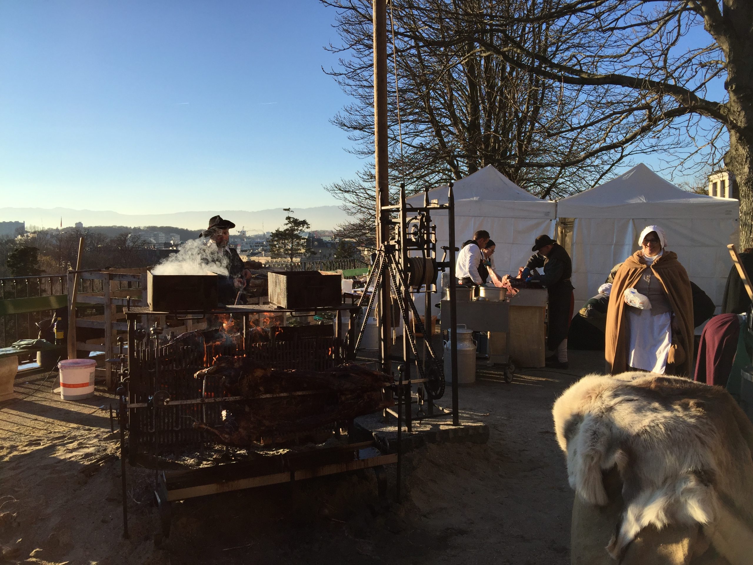 Promenade de la Treille 2015-12-12_15-27-02