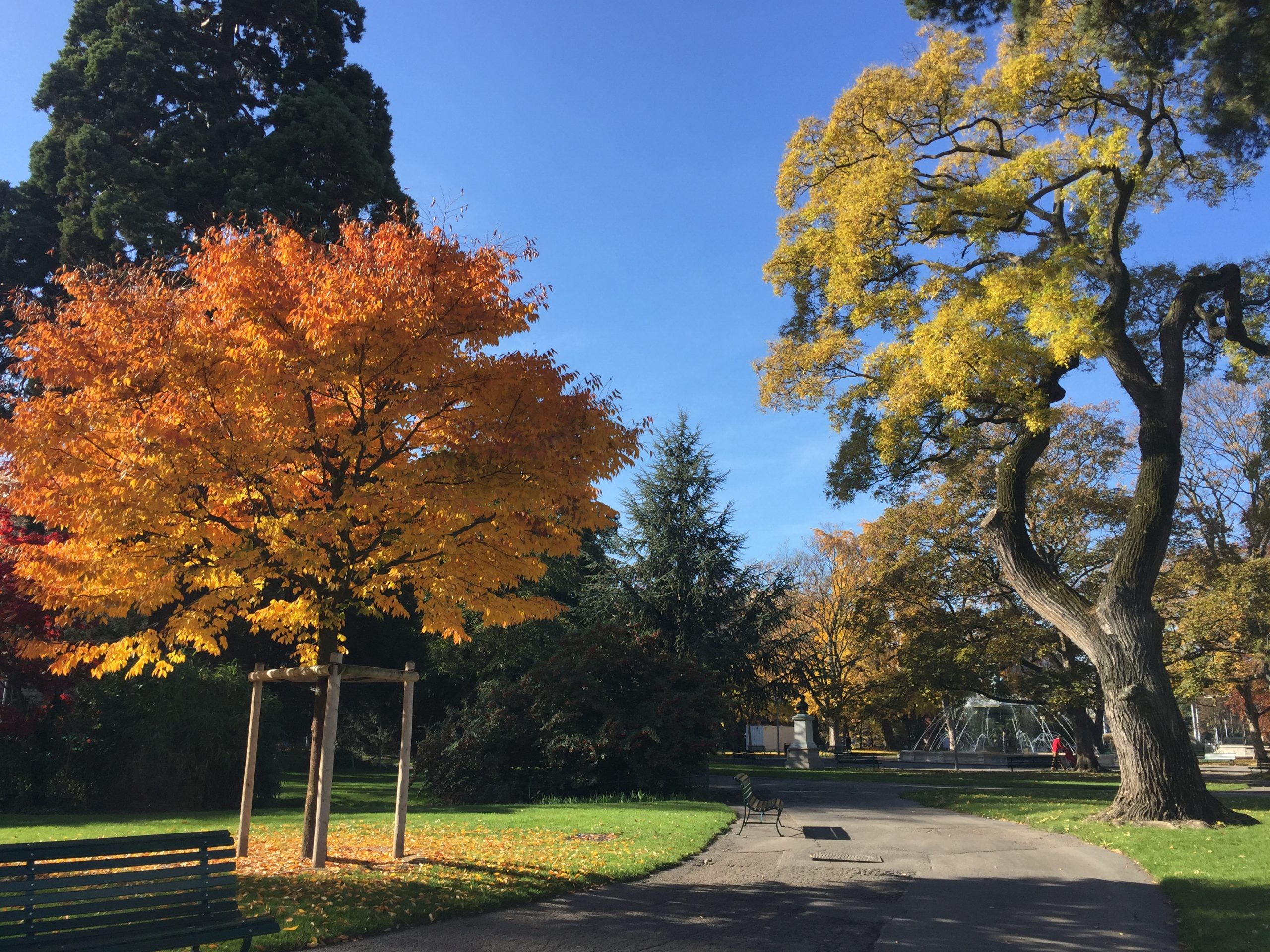 Quai Gustave-Ador 2015-11-08_11-37-44