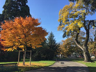 Quai Gustave-Ador 2015-11-08_11-37-44