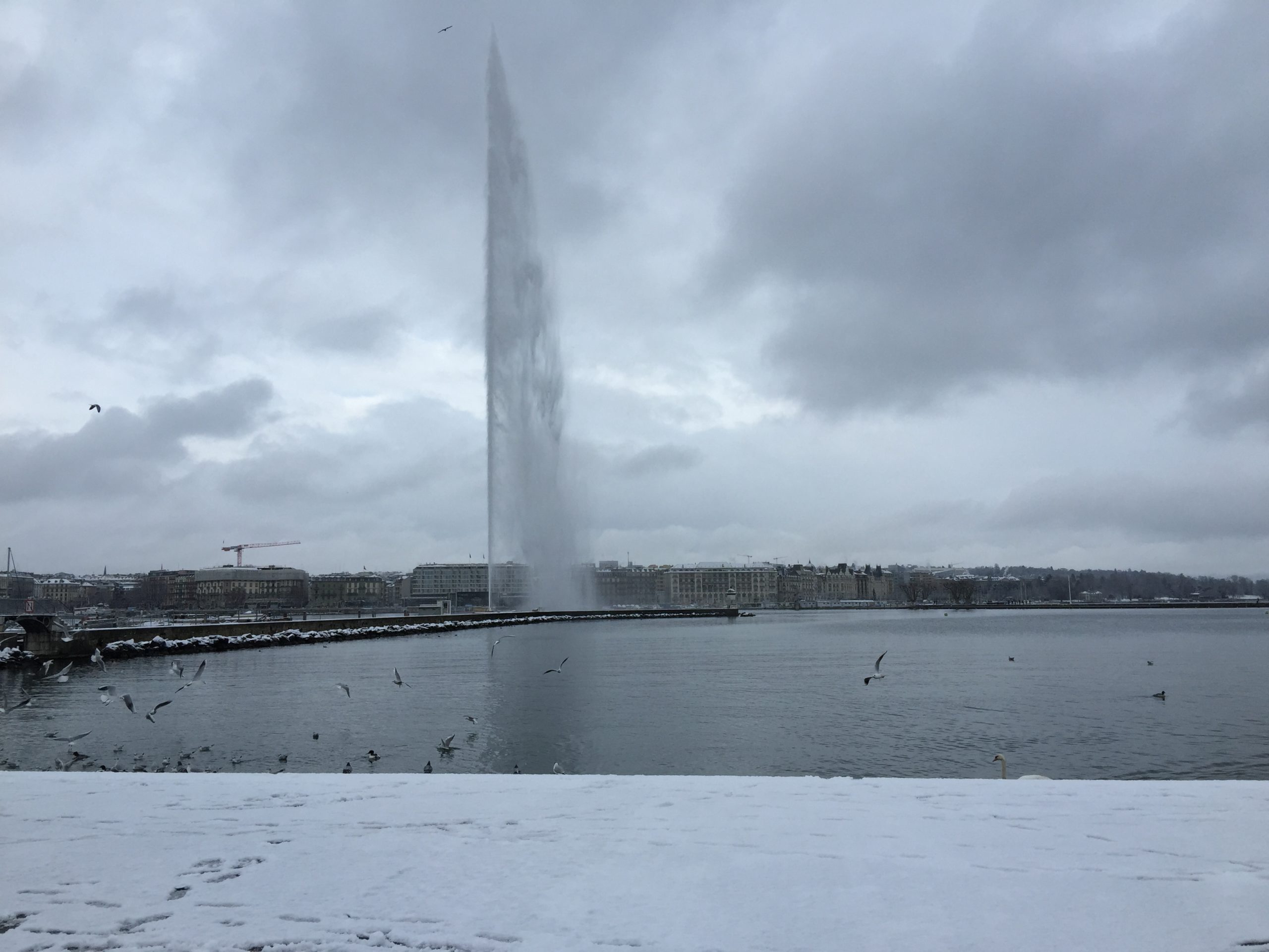 Quai Gustave-Ador 2016-01-17_10-47-07