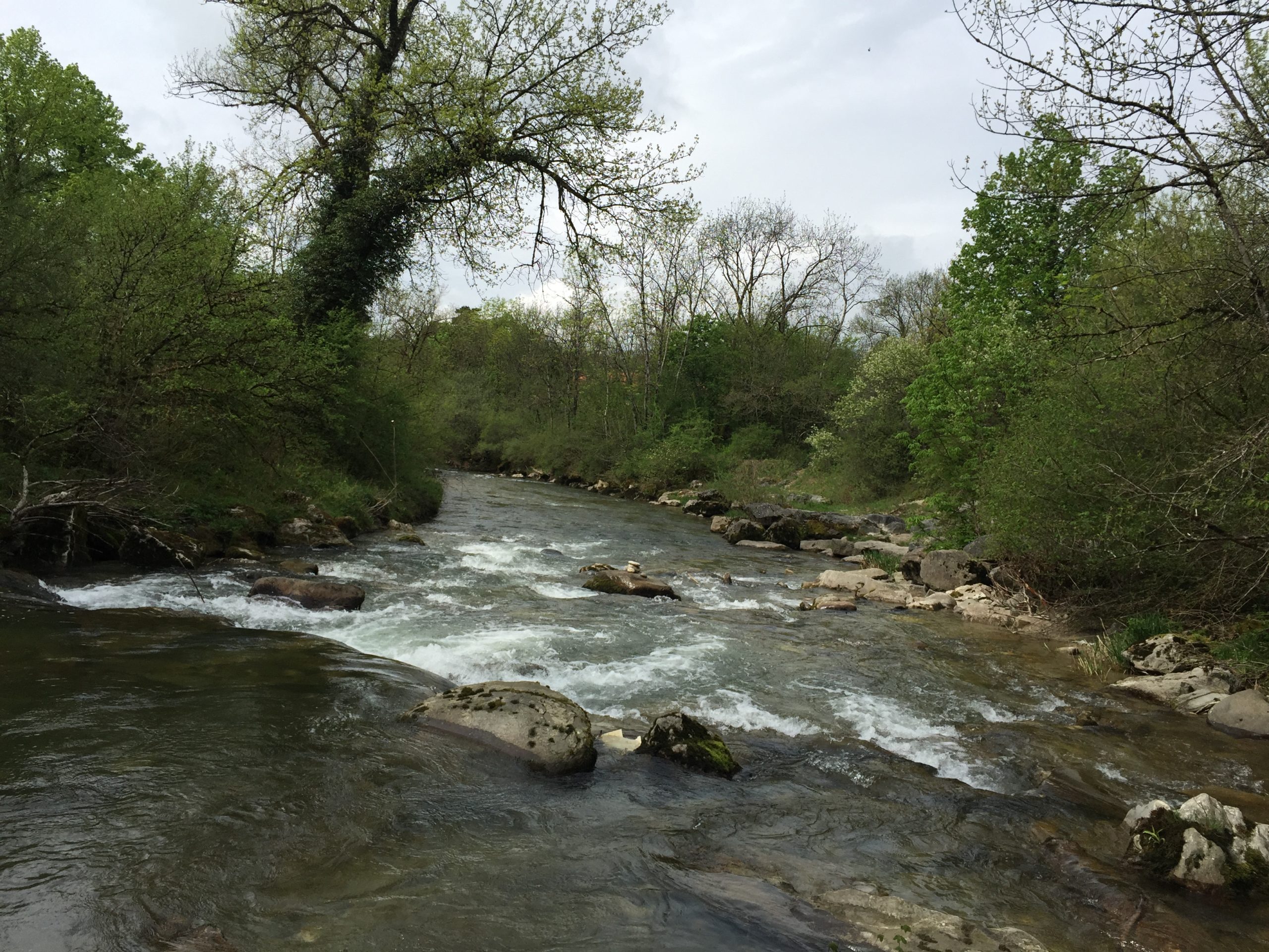 Route de l'Allondon 2015-04-26_12-02-59