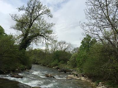 Route de l'Allondon 2015-04-26_12-03-01