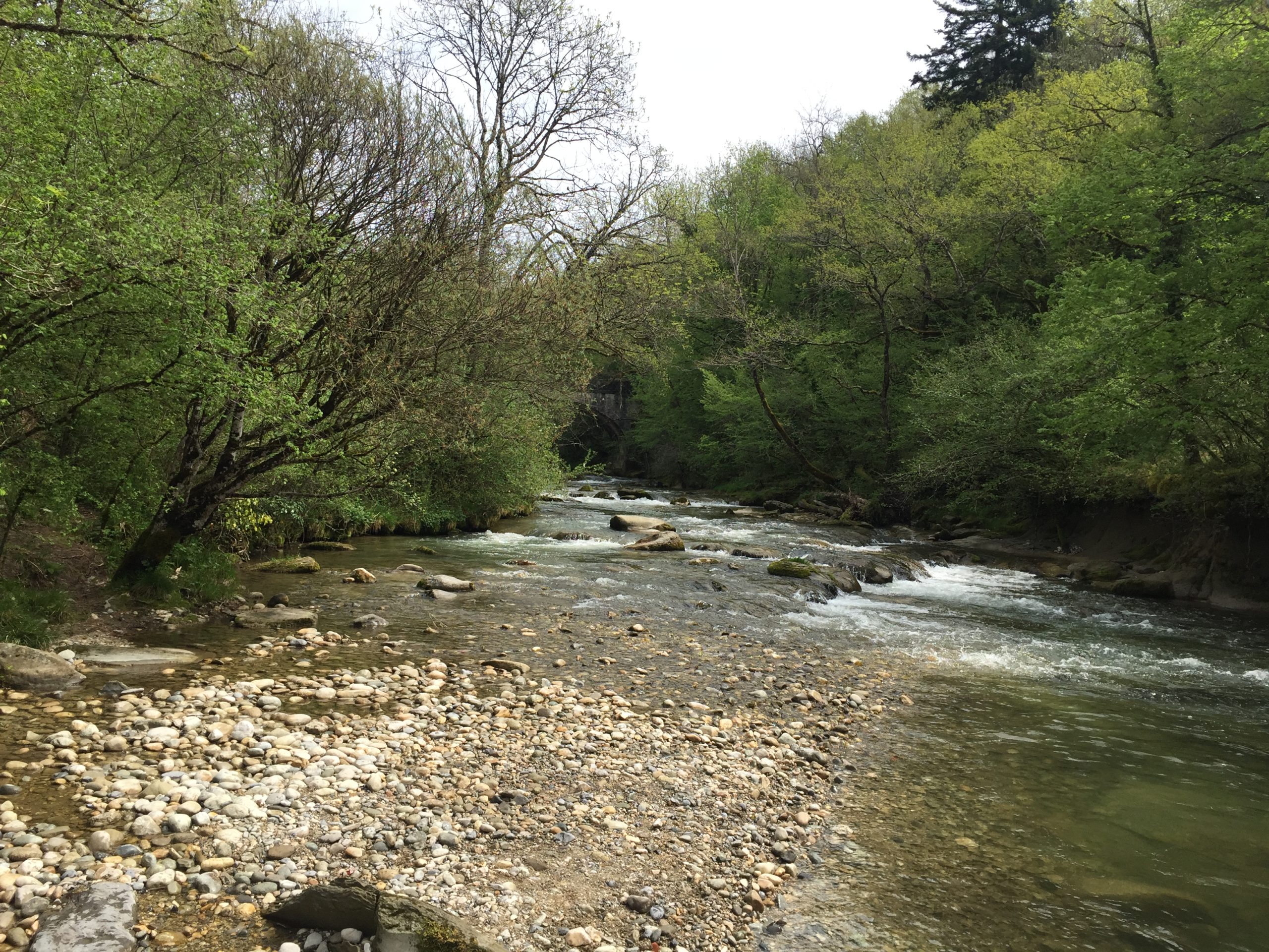Route de l'Allondon 2015-04-26_12-03-10