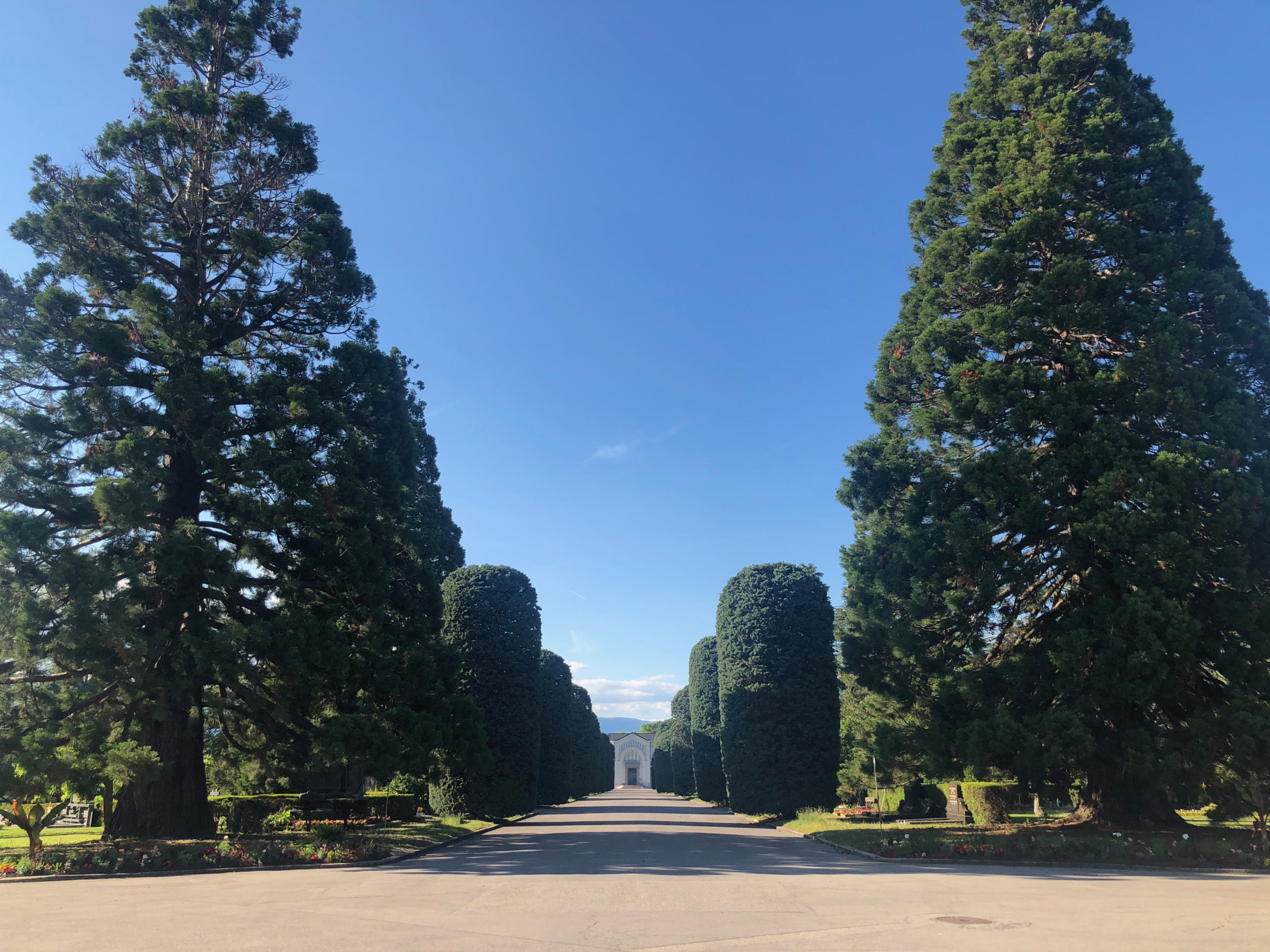Route de Saint-Georges 2019-05-31_18-21-40