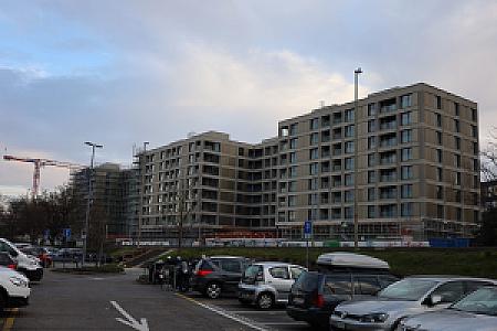 2025-03-08_07-47-57