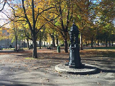 2015-10-29_14-08-46