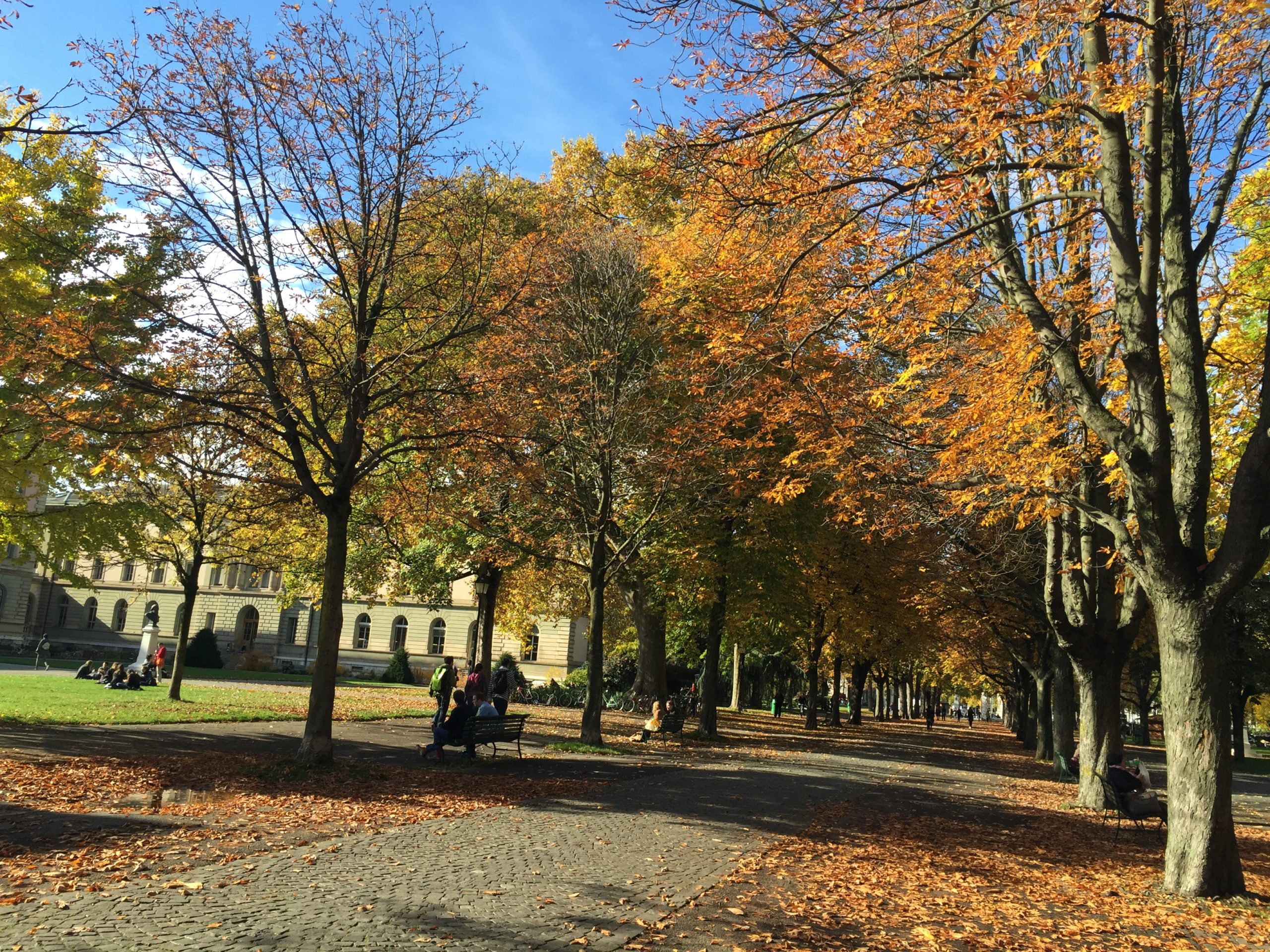 2015-10-29_14-09-06